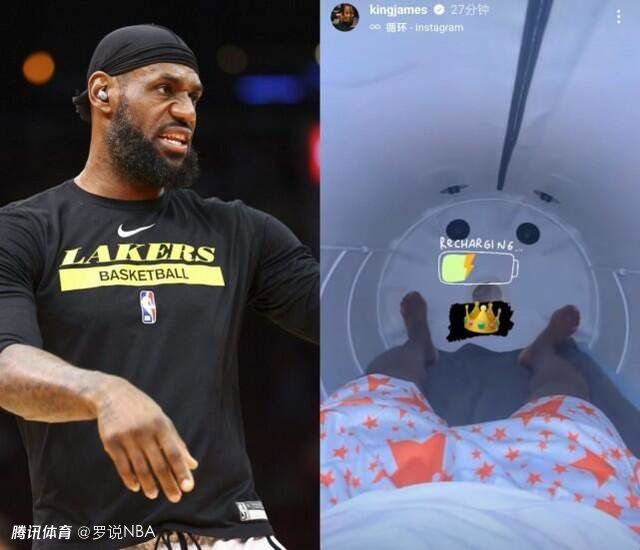 猫咪最新永久地域网名是什么