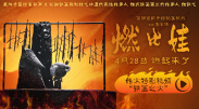 91一区在线观看