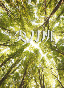 dvi接口和vga接口