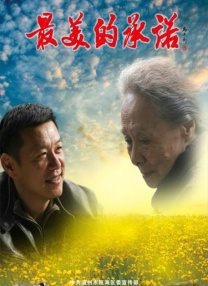职场同事与搭档