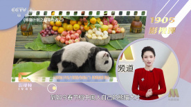 胸大边揉边从后面进去视频